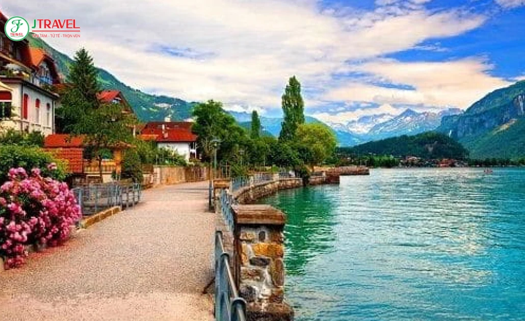 Hoa nở rực rỡ tại Thụy Sĩ mùa xuân