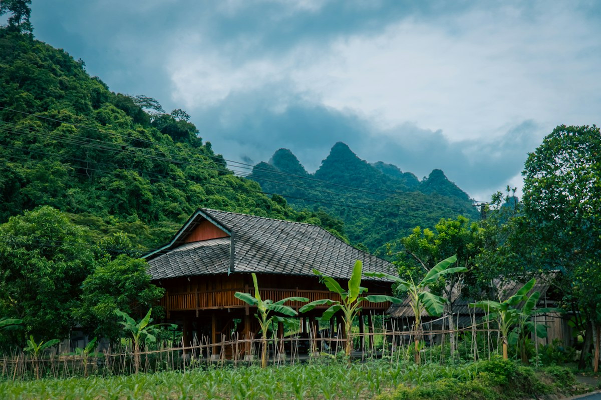 Nhà sàn homestay giữa núi rừng vùng cao
