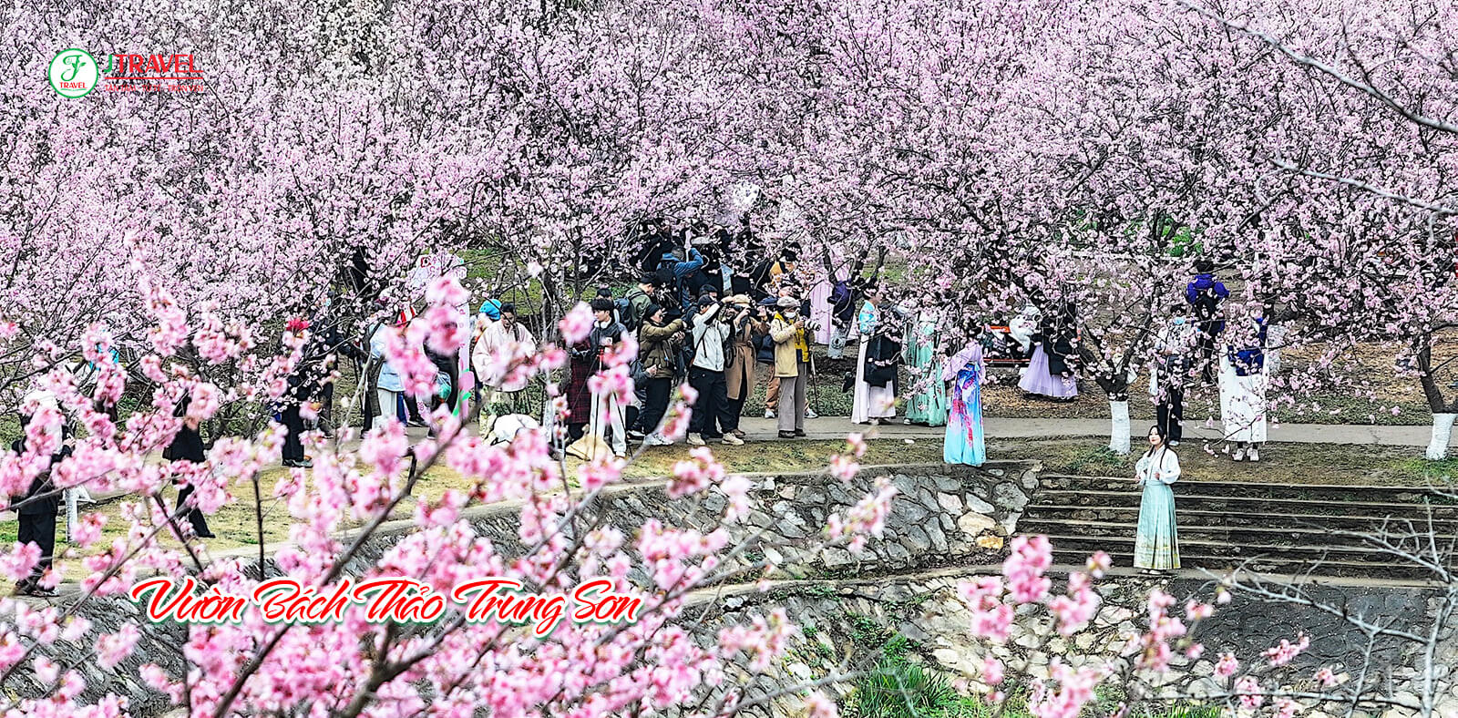 Vườn Bách Thảo Trung Sơn