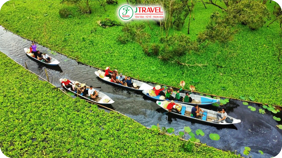 Rừng Tràm Trà Sư là địa điểm du lịch nổi bật vào mùa nước nổi