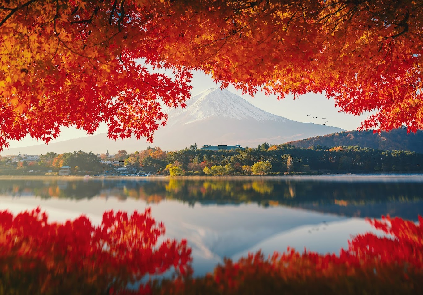  Tour Nhật Bản Đầu Thu: Tokyo – Núi Phú Sĩ – Hakone