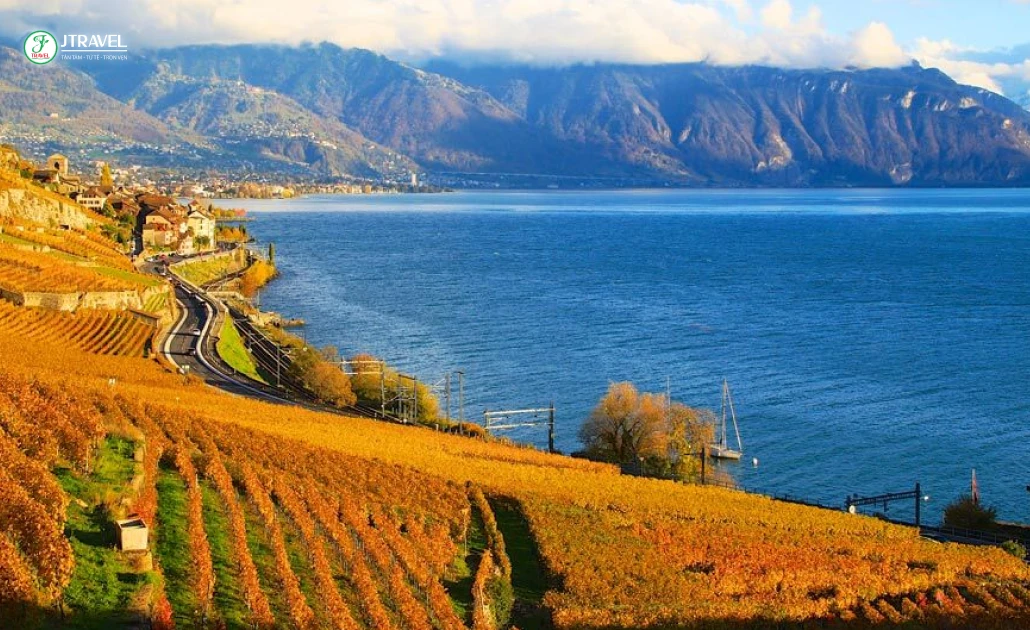 Gevena mùa thu với lá vàng tuyệt đẹp