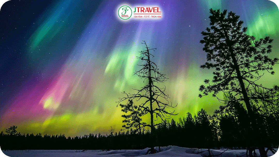 Rừng Đại Hưng An là khu vực rừng lá kim khổng lồ ngắm cực quang cực đẹp