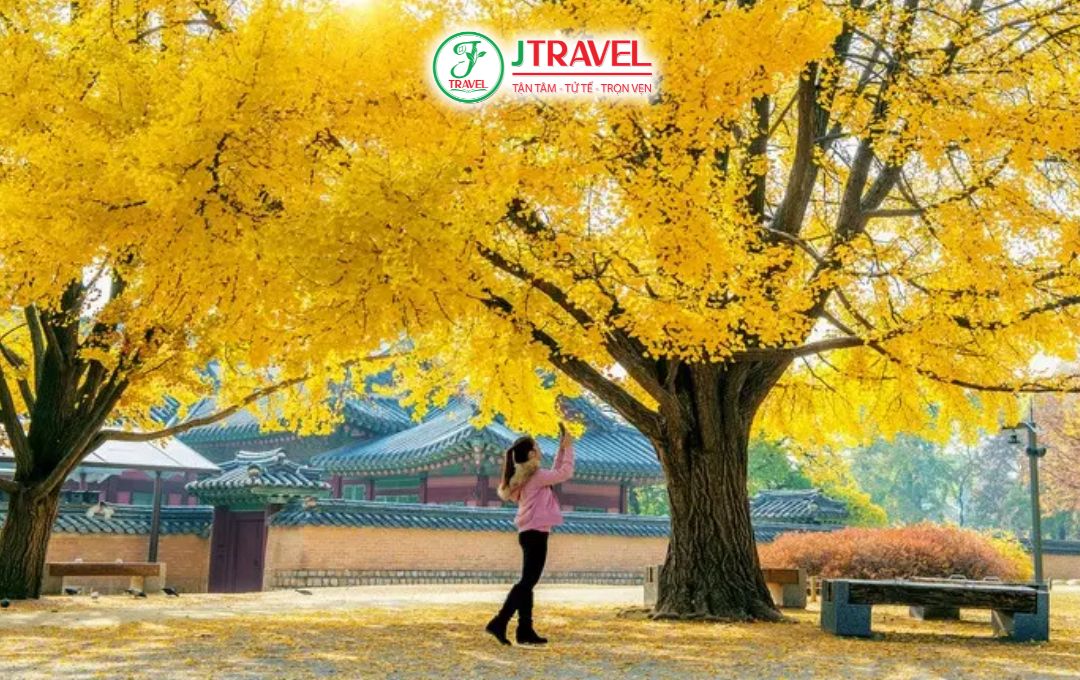 Một Số Lưu Ý Trước Chuyến Đi