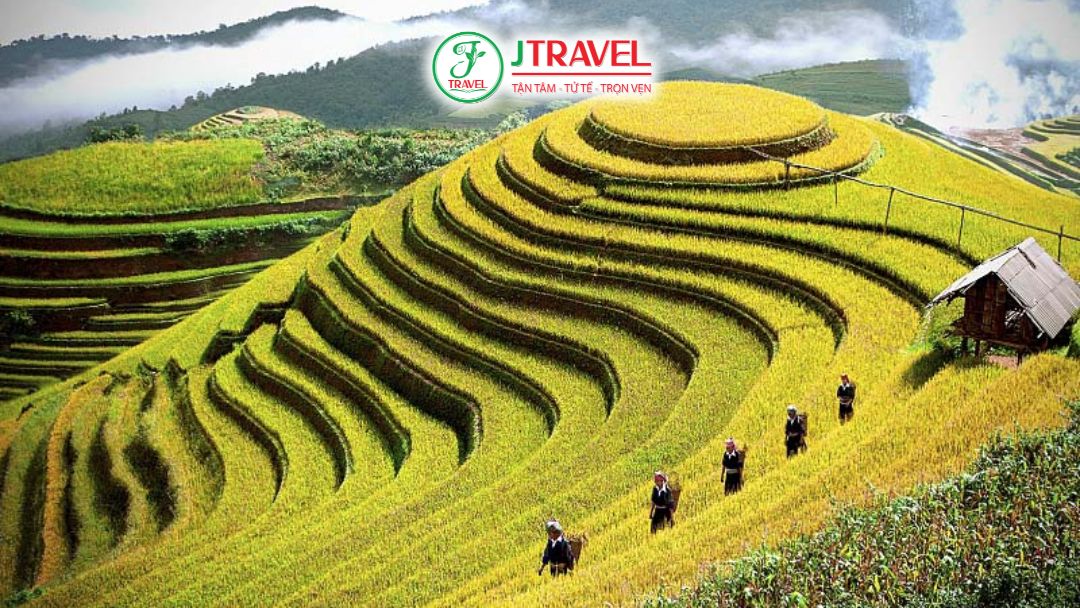 Ruộng bậc thang Mù Cang Chải trải dài trên sườn núi tại Yên Bái