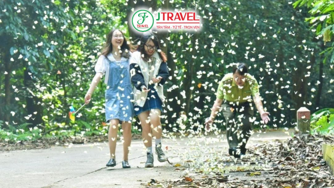 Săn bướm giữa rừng nguyên sinh