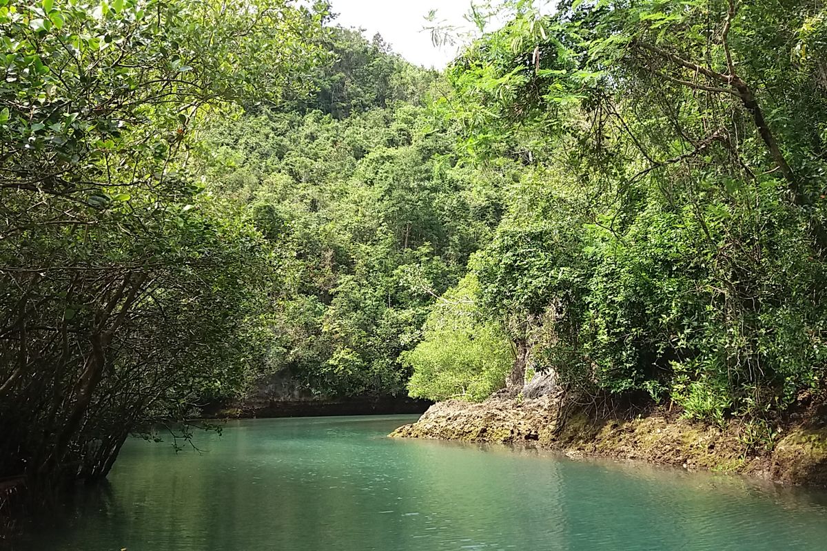 Dòng sông Bojo xanh ngọc giữa rừng ngập mặn và vách đá vôi ở Aloguinsan, Cebu