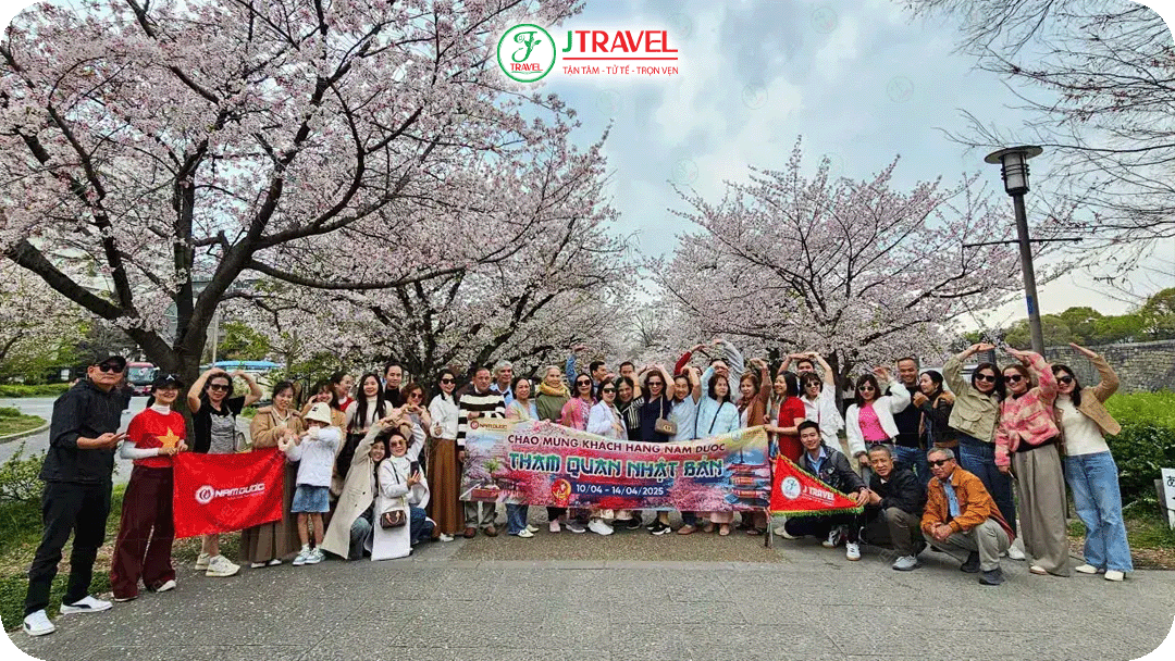 Cơ hội ngắm hoa anh đào cùng Tour Nhật Bản của J Travel