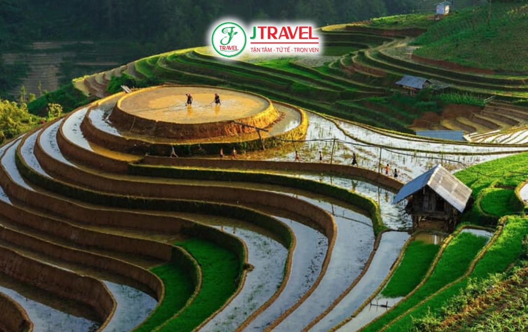 Đồi Mâm Xôi La Pán Tẩn mùa nước đổ