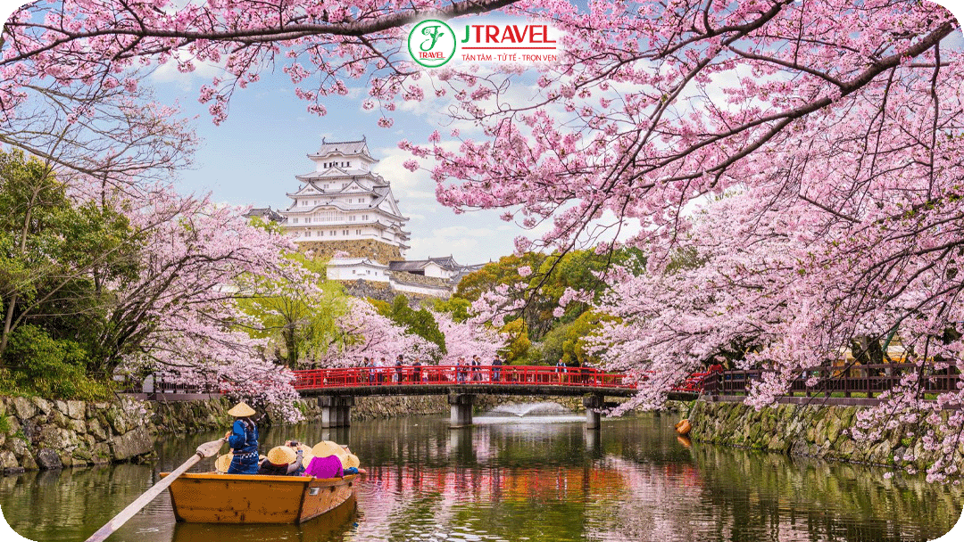 Mùa xuân ở Nhật Bản ấm áp và những hàng cây anh đào bắt đầu nở hoa