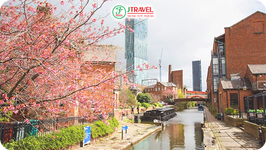 Mùa xuân Manchester - Thành phố bừng tỉnh sau giấc ngủ đông