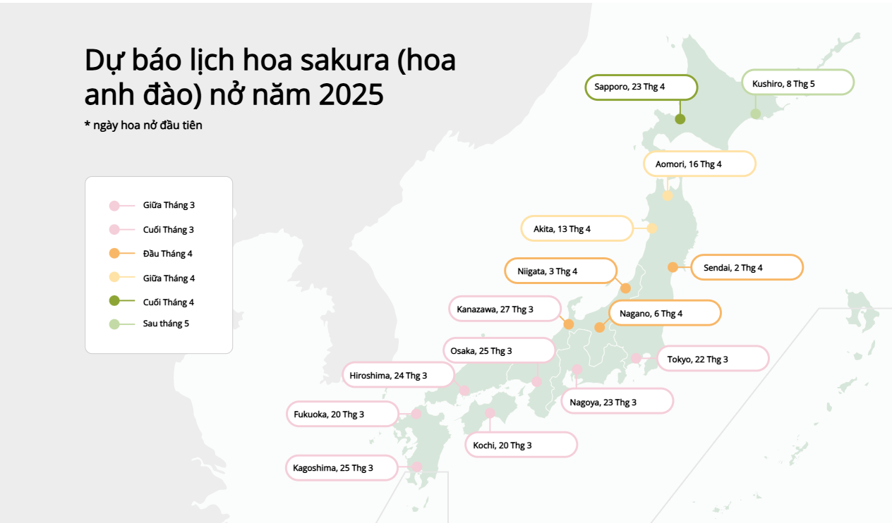 Dự báo lịch hoa sakura (Nguồn japan travel)