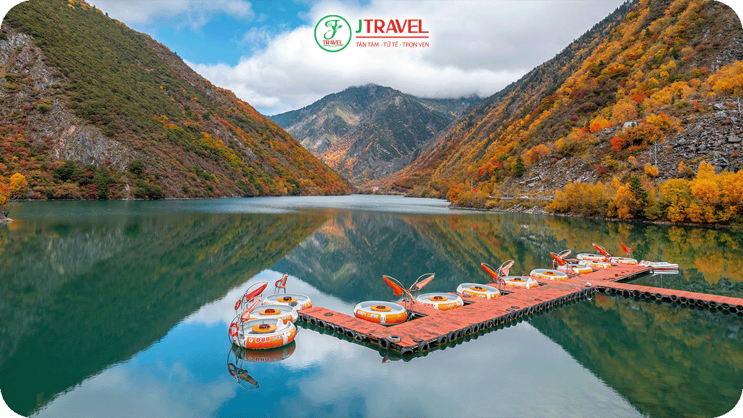 Tháng 9 đến tháng 11 là thời điểm Tùng Bình Câu bước vào “mùa vàng”