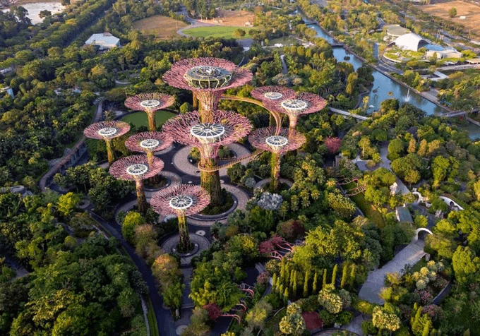 Garden by the Bay - Khi thiên nhiên và công nghệ giao thoa (ảnh internet)