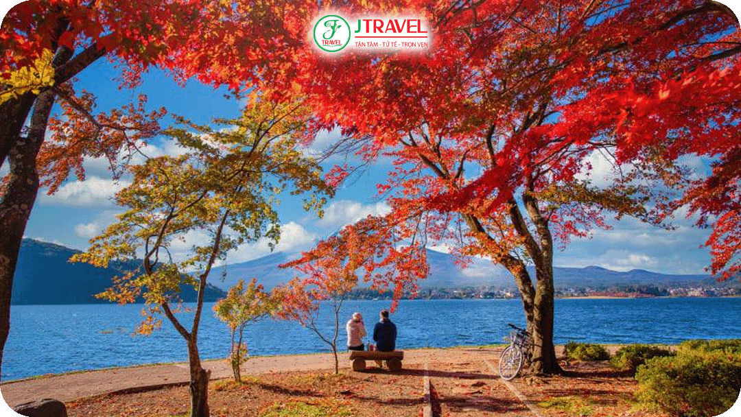 Lên lịch ngắm lá đỏ Nhật Bản cùng J Travel