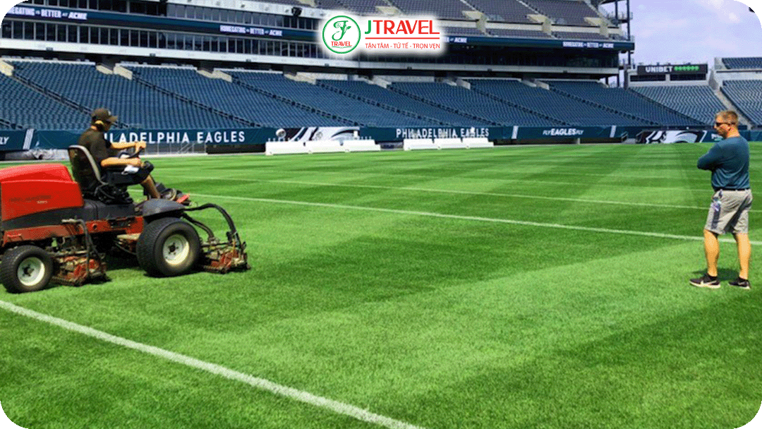 Lincoln Financial Field sử dụng loại cỏ tự nhiên kết hợp công nghệ hỗ trợ thoát nước