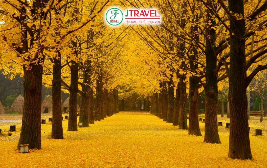 Những trải nghiệm không nên bỏ lỡ