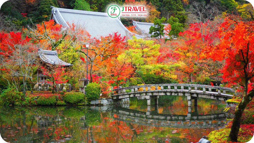 chùa Eikando được mệnh danh là “thủ phủ lá đỏ” của Kyoto