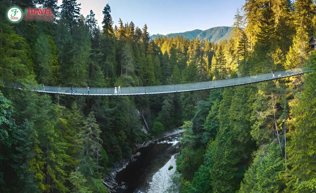 Du khách đi bộ trên cầu treo Capilano giữa khu rừng xanh mát mùa xuân