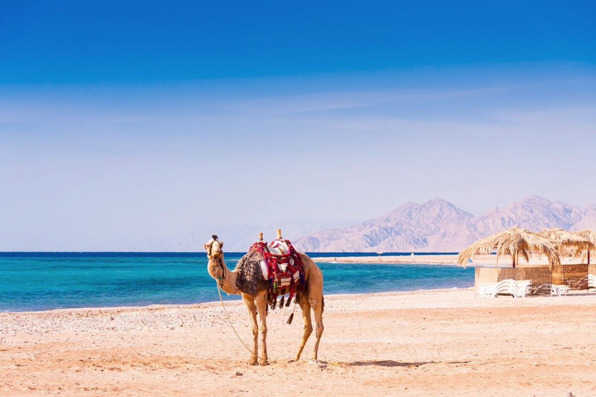 Khí hậu Hurghada khô và nhiều nắng nên chống nắng là ưu tiên trong suốt hành trình