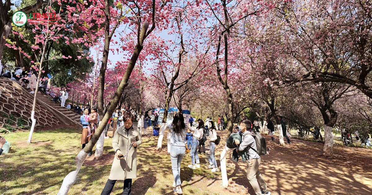 Công Viên Viên Thông Sơn jtv