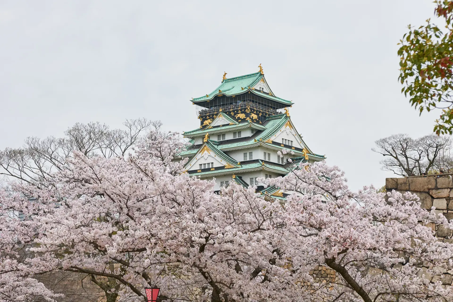 J Travel – Công Ty Du Lịch Nhật Bản Uy Tín Tại TP.HCM