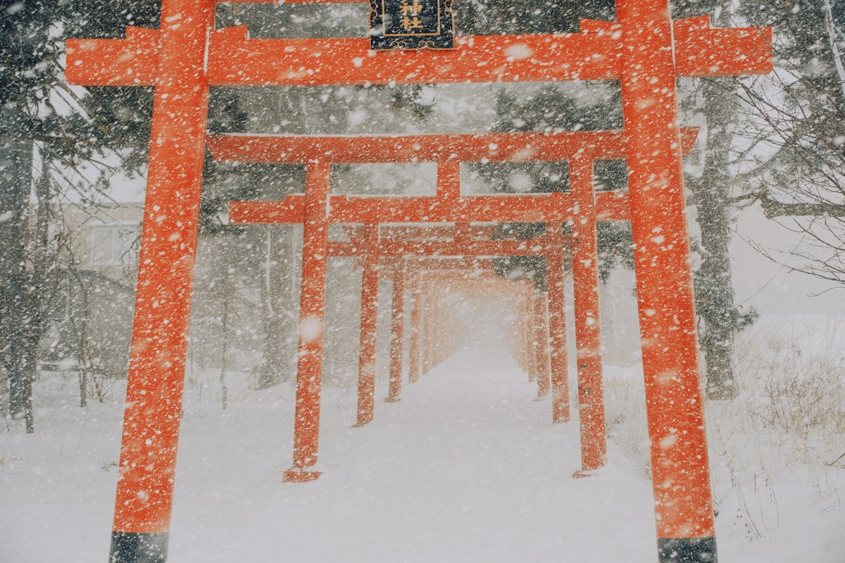 Cổng torii đỏ giữa rừng tuyết ở Sapporo
