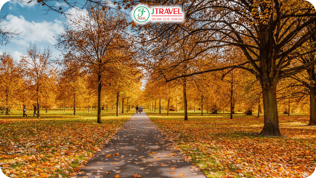 Hyde Park - Cảnh sắc tuyệt đẹp dưới lá vàng rơi