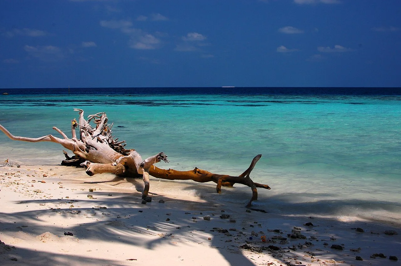 Bãi biển trên đảo Maafushi, Maldives
