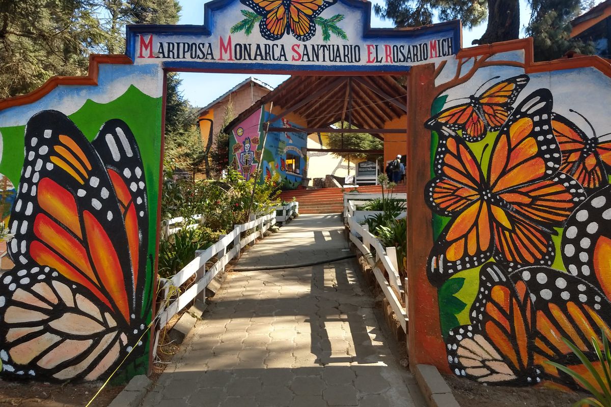 Cổng vào khu bảo tồn bướm vua El Rosario, Ocampo, Michoacán