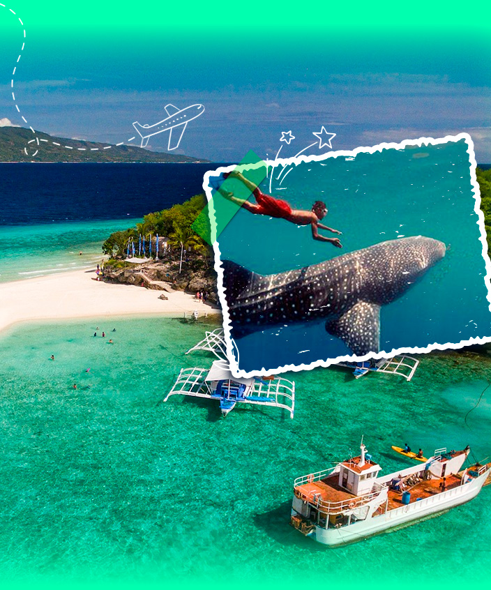 Tour Philippines: Bay Thẳng Đảo Cebu Lặn Ngắm Cá Mập Voi Oslob – Bơi Cùng Đàn Cá Mòi Moalboal 5N4Đ