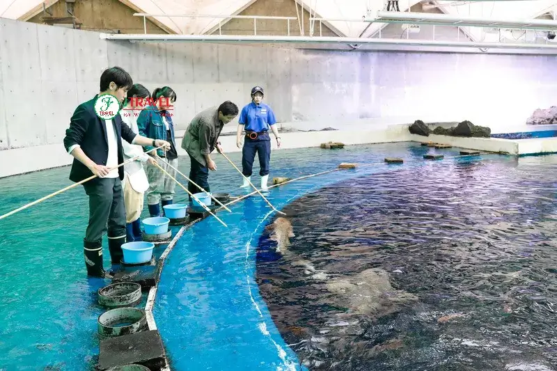 tham-quan-thuy-cung-kamogawa-seaworld