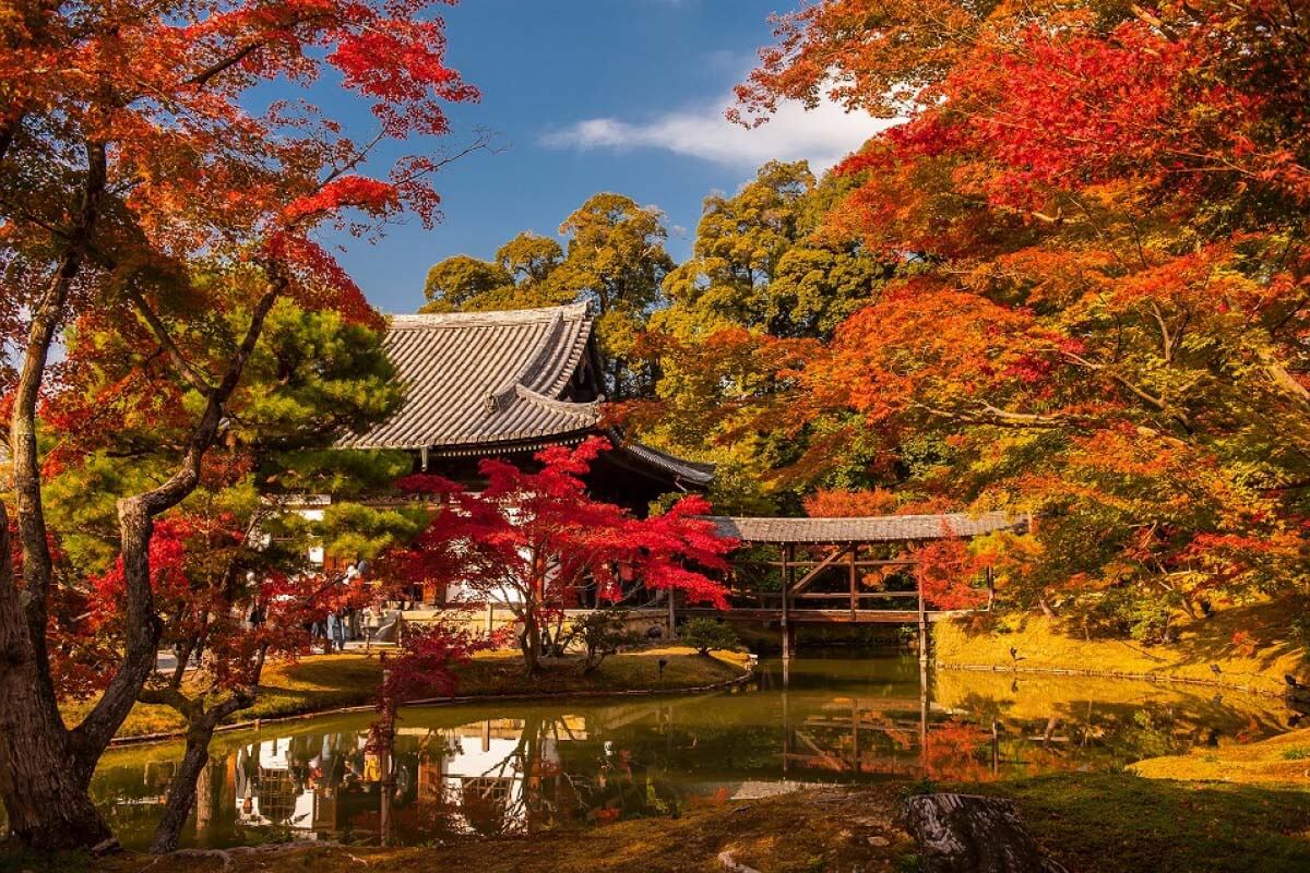Kyoto (nguồn: internet)