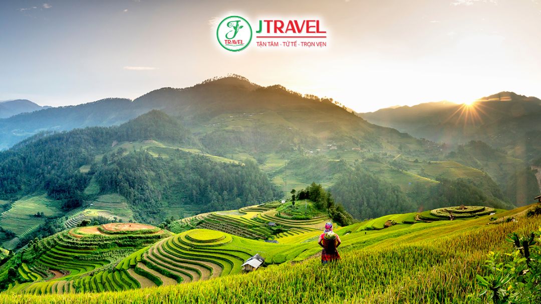 Ruộng bậc thang Mù Cang Chải nhìn từ trên cao giữa núi rừng Tây Bắc