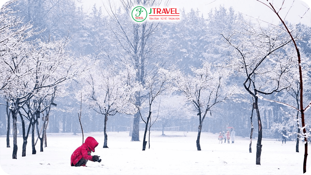 Làm người tuyết, chơi đùa giữa thiên nhiên