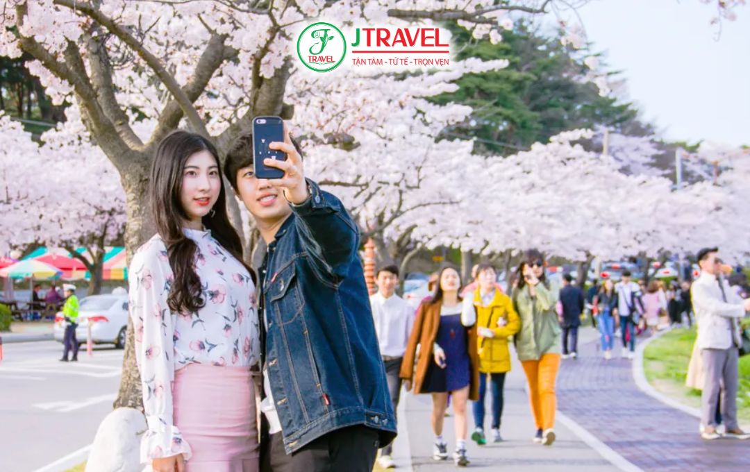 Những trải nghiệm không nên bỏ lỡ mùa hoa anh đào