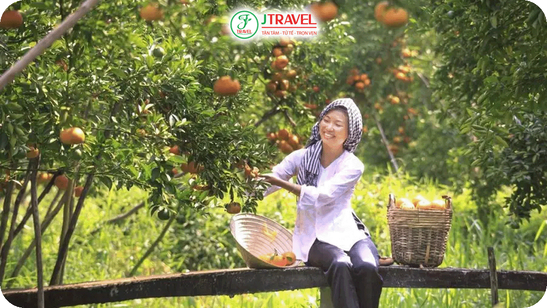 Vườn trái cây Cù lao An Bình - Điểm đến quen thuộc của du khách miền Tây