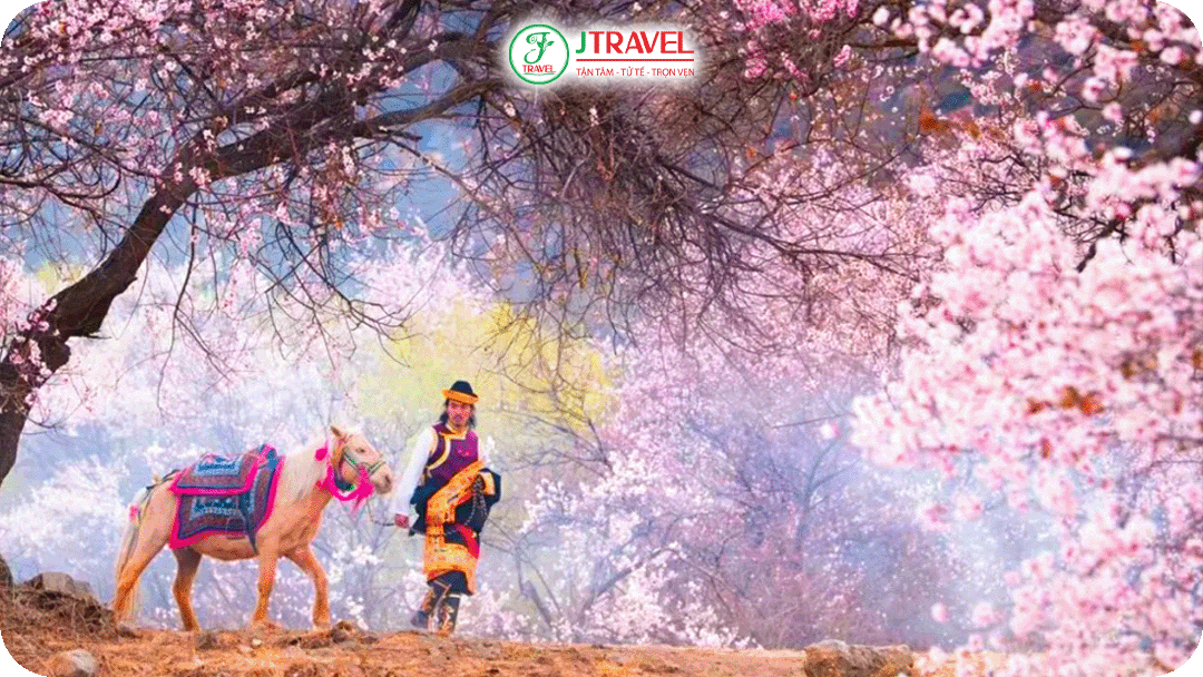 Tây Tạng khiến du khách choáng ngợp khung cảnh hoa anh đào