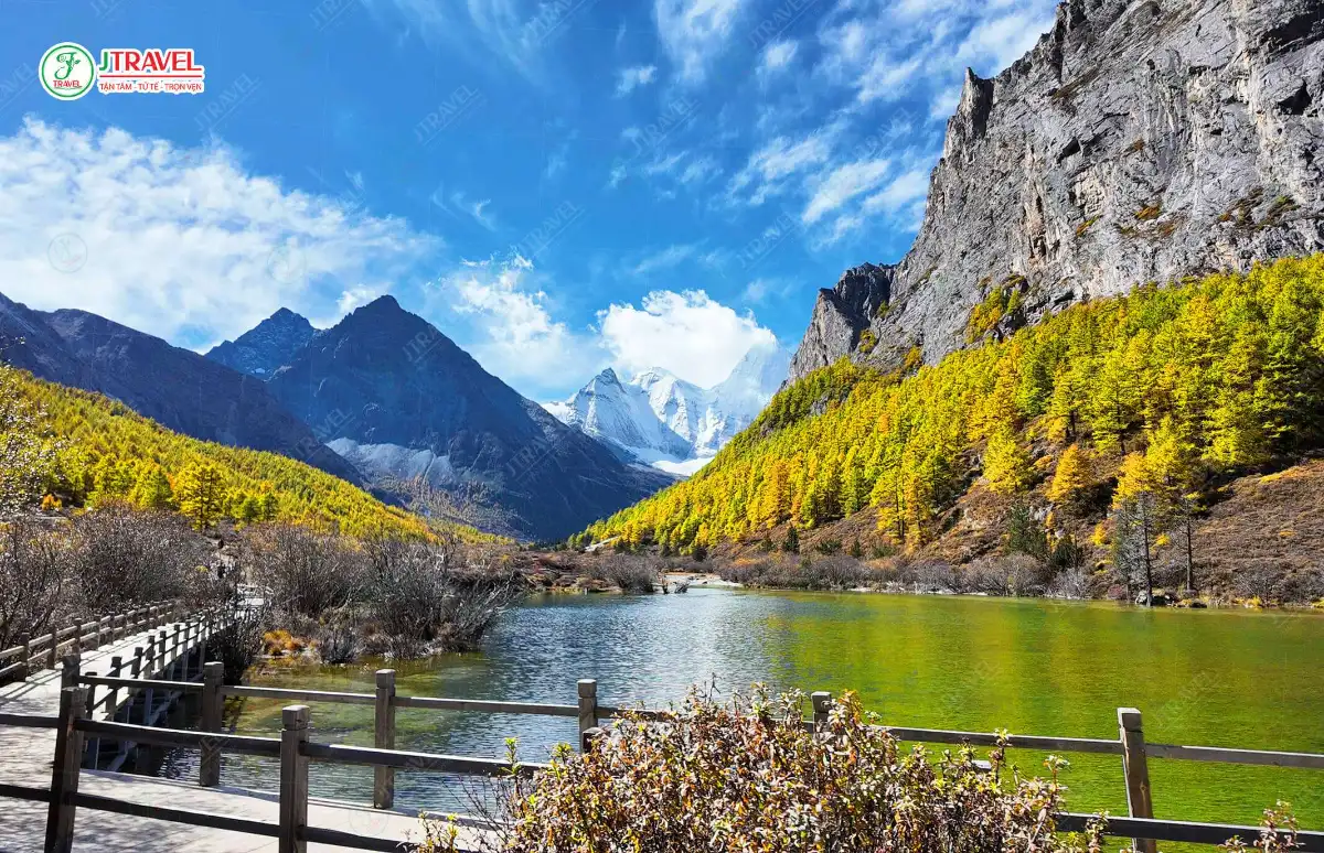 Đoàn khách J Travel ngắm núi tuyết và rừng vàng Á Đinh