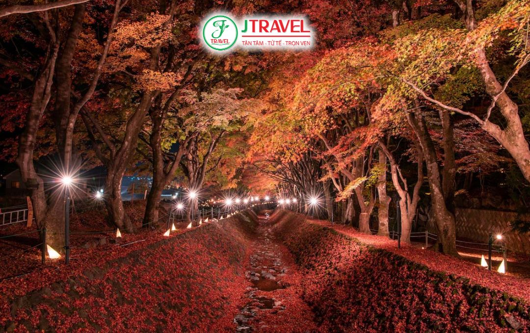 Fuji Kawaguchiko Autumn Leaves Festival (1)