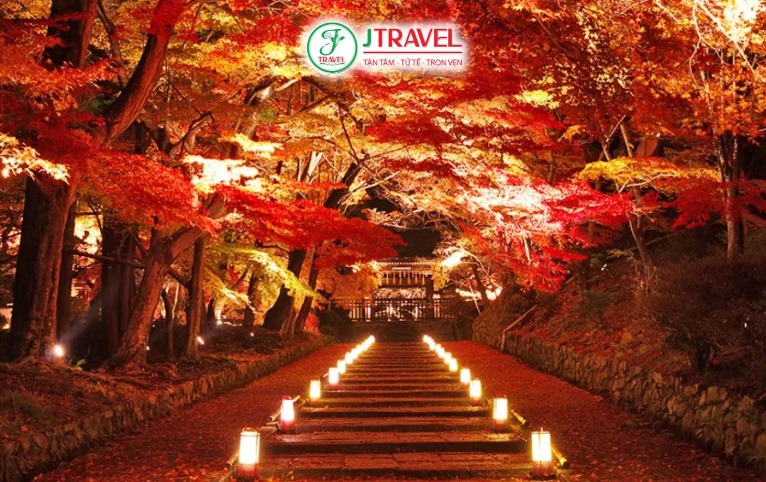 Kinh nghiệm ngắm lá đỏ tại Momiji Kairo