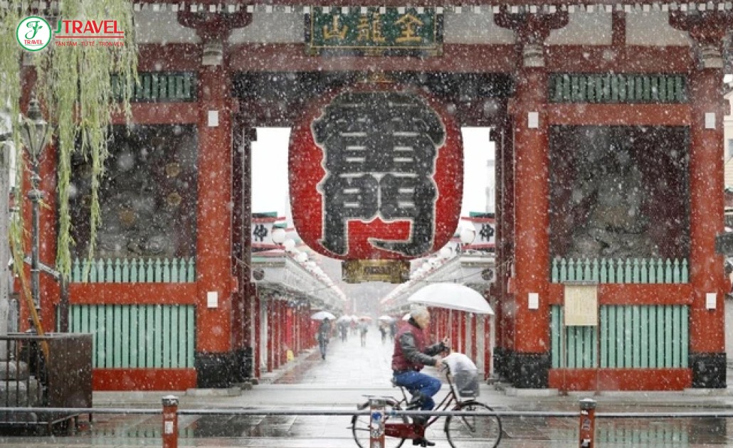 Khung cảnh mùa đông hiếm có tại Tokyo