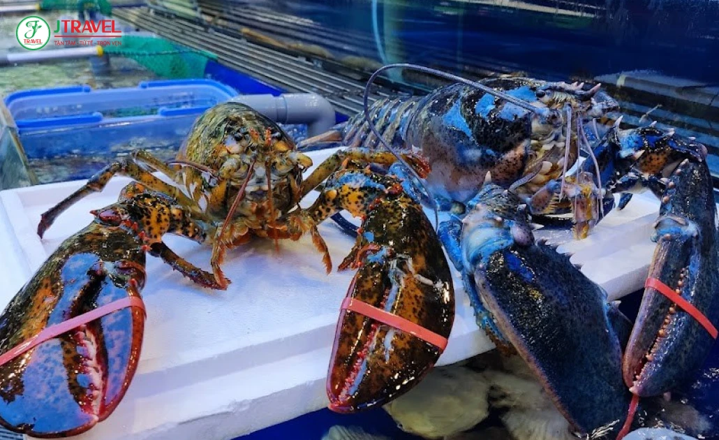 Tôm hùm Canada tươi ngon, hải sản đặc trưng của bờ Đông