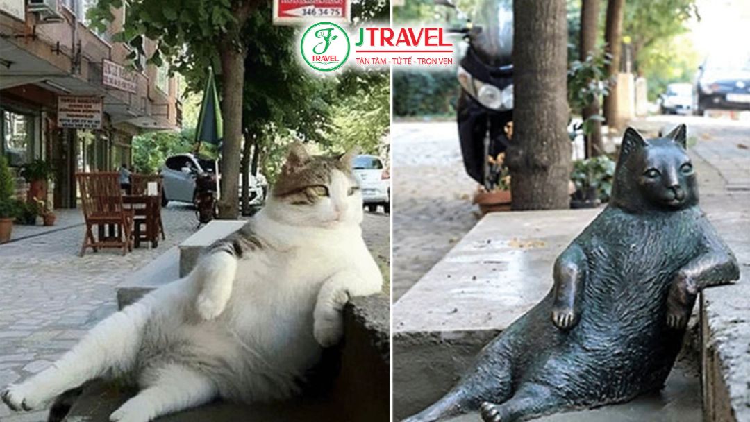 Mèo nằm nghỉ trên phố Istanbul
