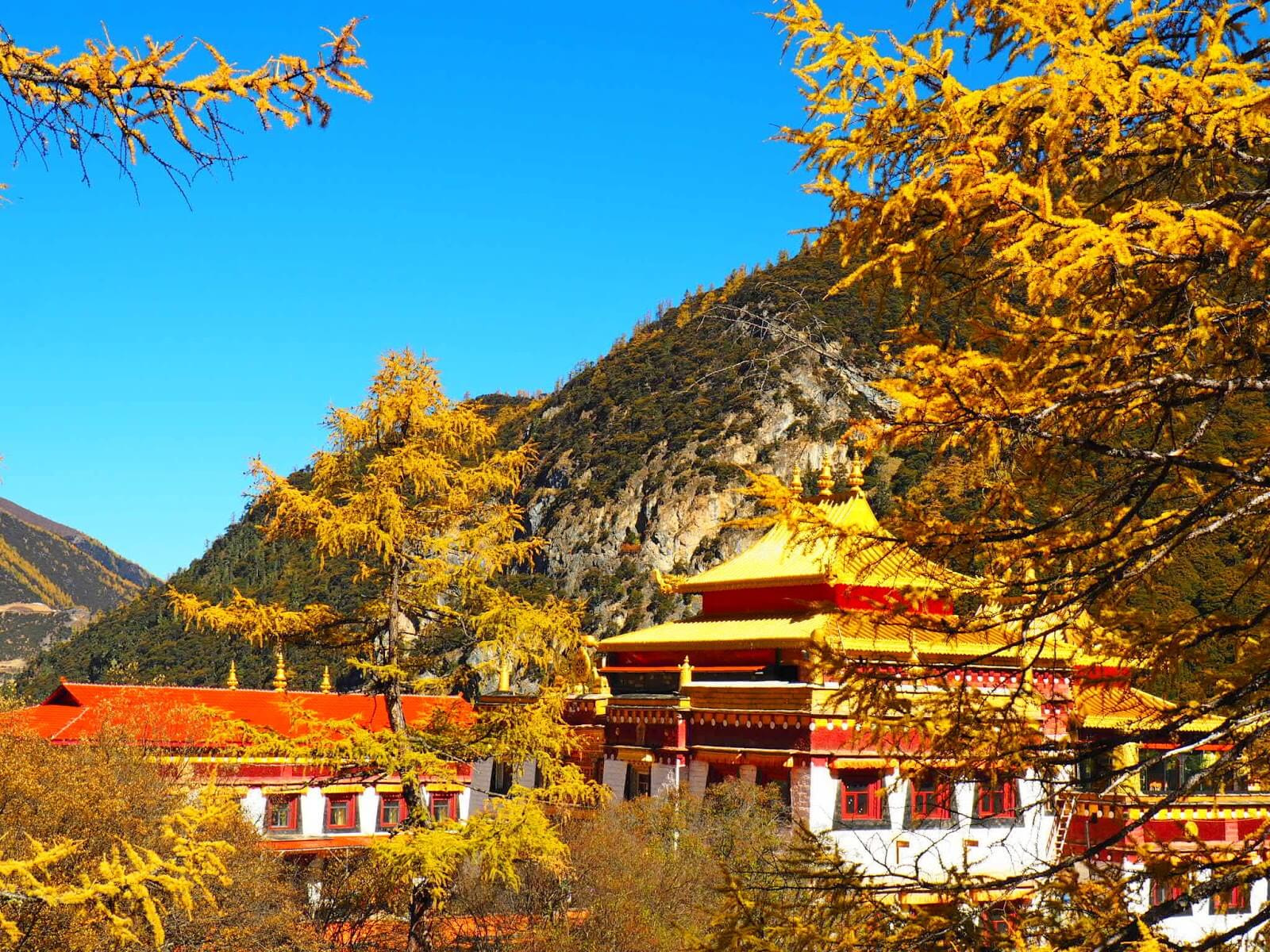 Tu viện Chonggu linh thiêng