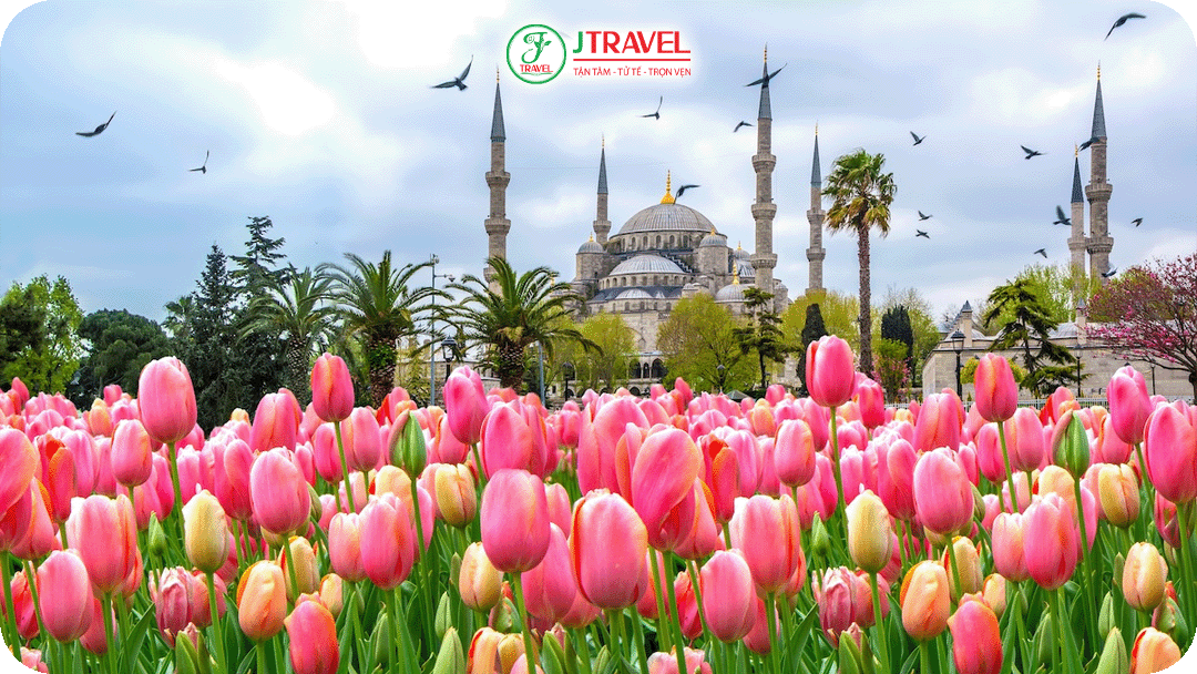 Lễ hội hoa Tulip ở Thổ Nhĩ Kỳ diễn ra vào tháng 4-5 hàng năm tại Istanbul