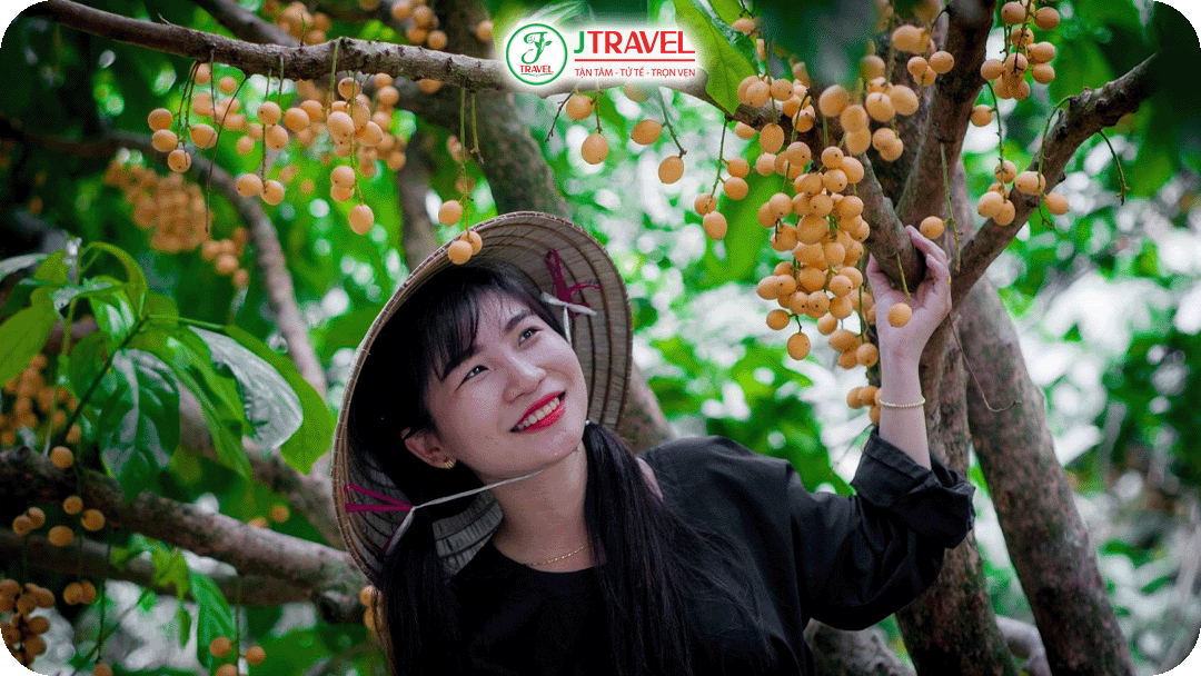 Miệt vườn Cái Bè với diện tích lên đến hơn 15.000 ha