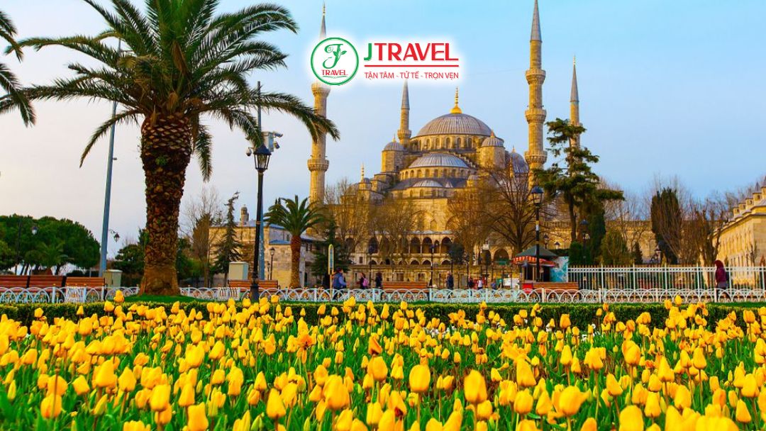 Hoa tulip nở rộ tại Istanbul
