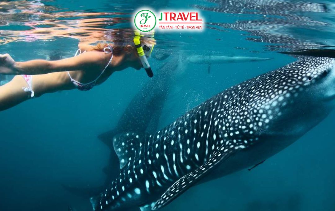Thuê đồ, guide và quay chụp khi tham gia hoạt động