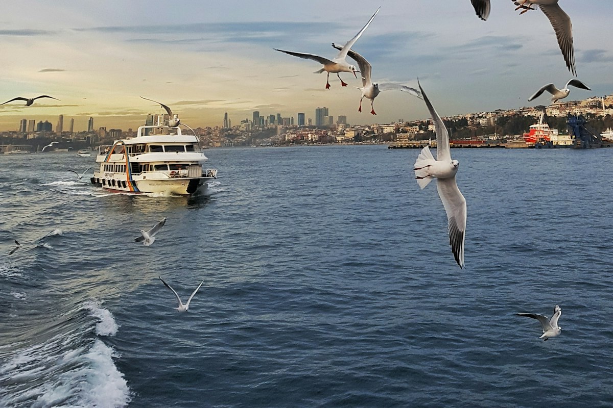 Tàu du thuyền trên eo biển Bosphorus